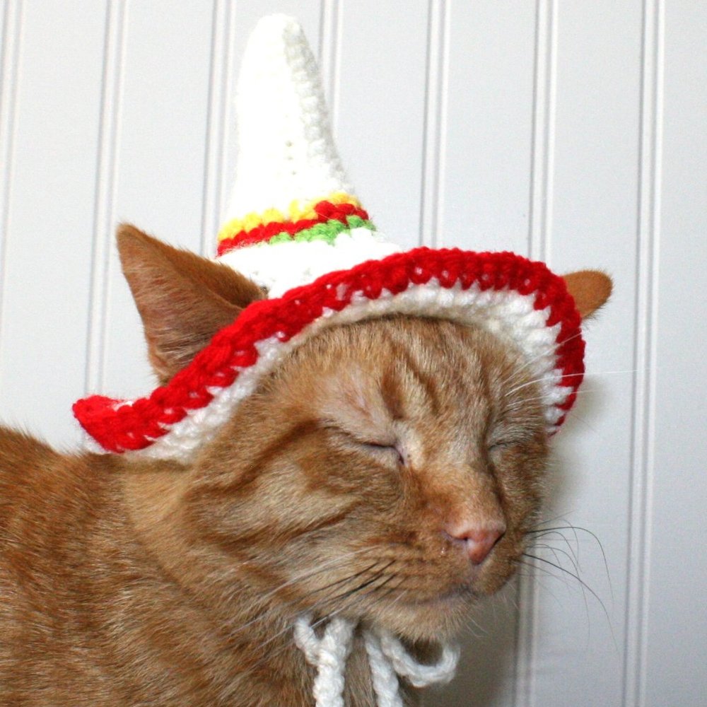 HAND CRAFTED Crochet Sombrero Cinco De Mayo Cat Hat Costume Photo Prop - Picture 3 of 15